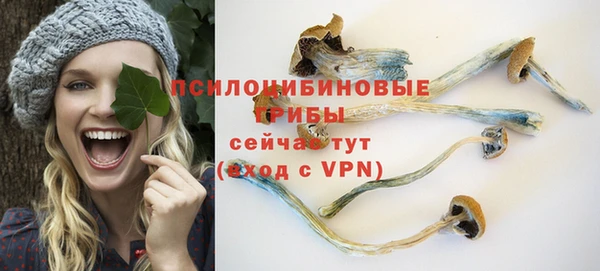 а пвп мука Ельня