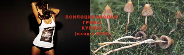 каннабис Елизово