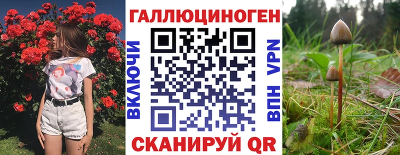 Псилоцибиновые грибы прущие грибы  Кандалакша 